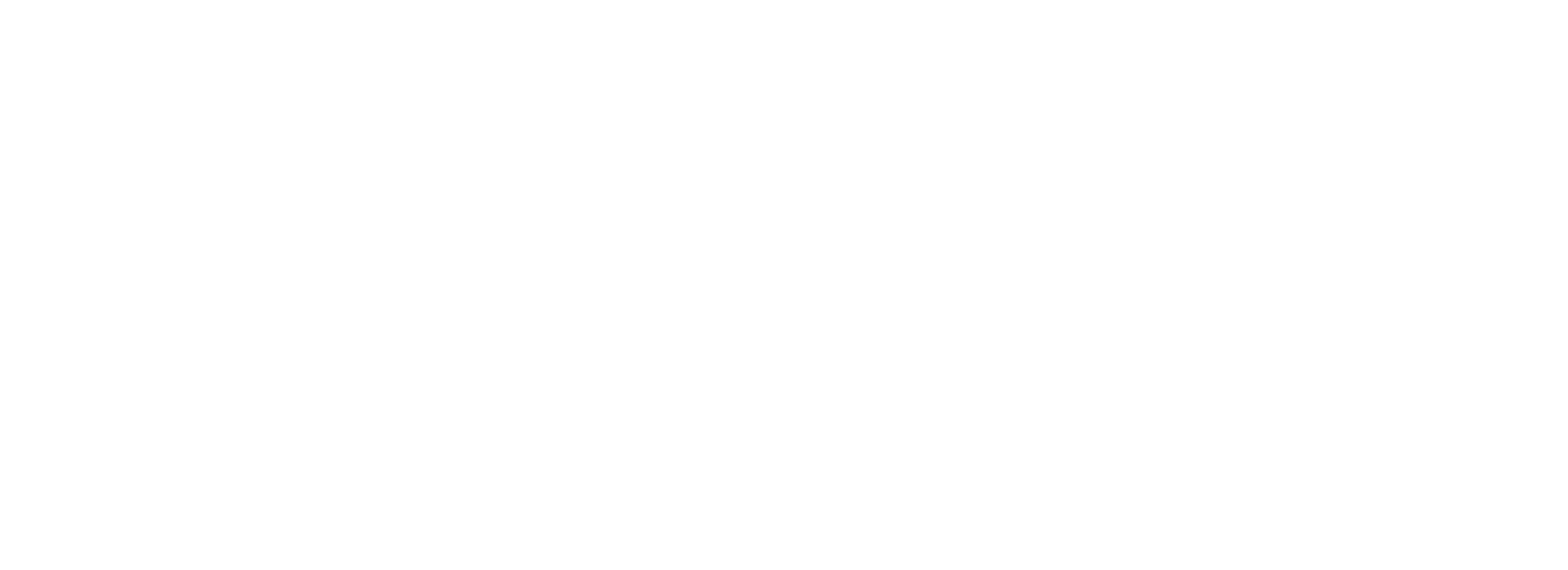 Vertex Strategic Finance
